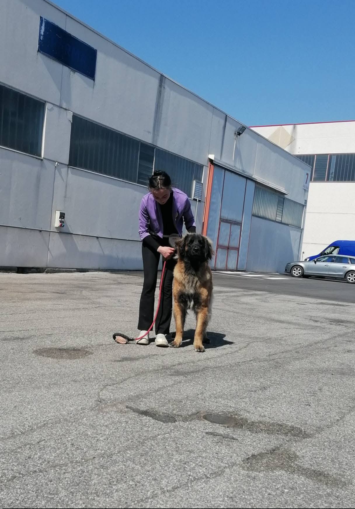 Esercizio guidato durante una lezione